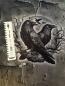 Preview: Hugin & Munin - großes Panel - French Terry