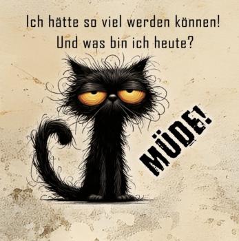 Preview: Ich hätte so viel werden können... - Jersey - kleines Panel