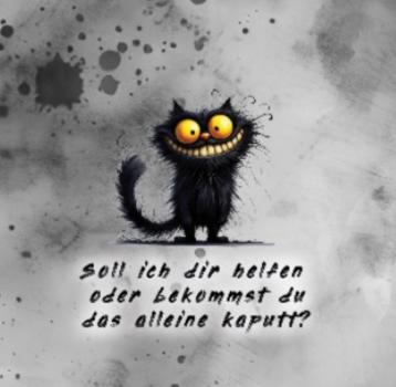 Preview: Bekommst du das alleine Kaputt? - Jersey - kleines Panel