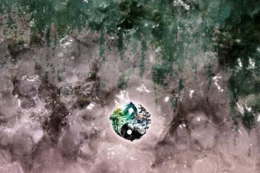 Balance - Mützen Panel - Jersey