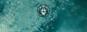 Lupa - Loop Panel - Jersey