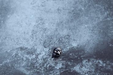 Bin extra früh aufgestanden, da war kein Wurm - Mützen Panel - Jersey