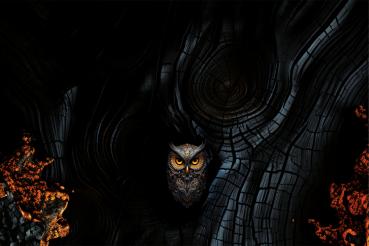 Pöllö - Mützen Panel - Jersey