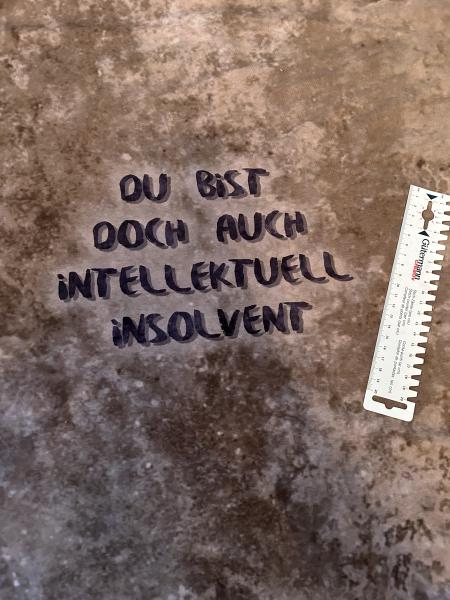 Du bist doch auch intellektuell insolvent - kleines Panel - Jersey