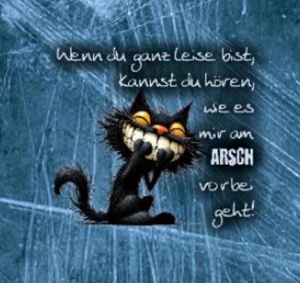 Am Arsch vorbei...  - Jersey - kleines Panel