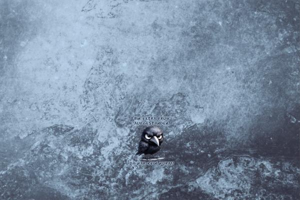 Bin extra früh aufgestanden, da war kein Wurm - Mützen Panel - Jersey