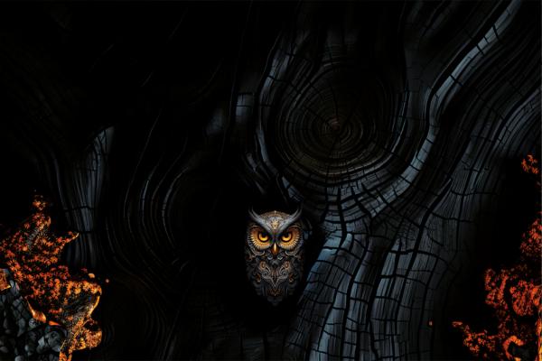 Pöllö - Mützen Panel - Jersey