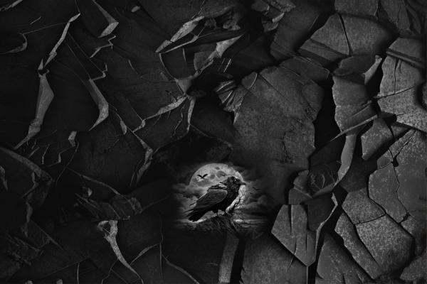 Rabenschwarz - Mützen Panel - Jersey